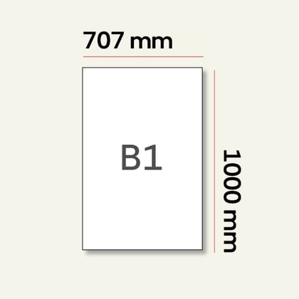 B1, 1000x707 mm